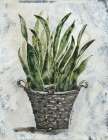 Snake Basket Botanical Print