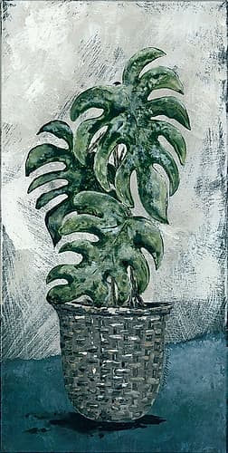 Boho Monstera Art Print