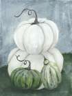 Sunny Day Pumpkins I Still Life Print