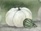 Sunny Day Pumpkins II Art Print