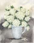 Hobnail Hydrangeas Art Print