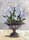 Hyacinth in Urn Art Print
