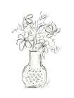 Black Eyed Susan Charcoal Sketch Art Print