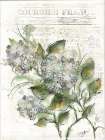 Daybreak Lilac Art Print