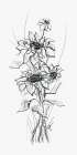 Sketchy Sunflower Bouquet Art Print