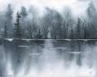 Midnight in January Art Print