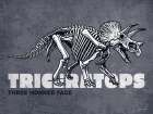 Triceratops Art Print