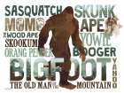 Bigfoot Nicknames Art Print
