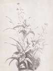 Natural Lines Art Print