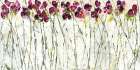 Sweet Pea Garden Art Print