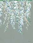 Wisteria in Bloom Art Print