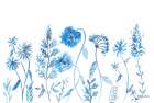 Wildflowers in Blue Art Print