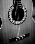 Guitar Dreams Art Print
