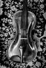 Violin Grace Art Print