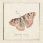 Fearfully Wonderfully Made Art Print