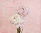 My Love Letter Art Print