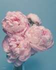 Petals of Promise II Art Print
