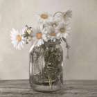 Joy in a Jar Art Print