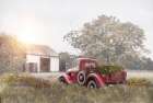 Hazy Days of Summer Art Print