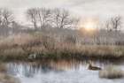 Stillness on the Water Art Print