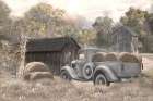 Back in the Hay Days Art Print