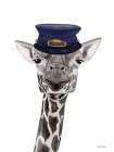 Train Conductor Giraffe Art Print