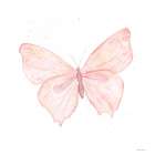 Pink Butterfly 2 Art Print