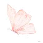 Pink Butterfly 3 Art Print