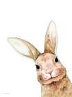 Fluffy Peekaboo Bunny Art Print