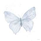 Blue Flutter 2 Art Print