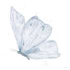 Blue Flutter 3 Art Print