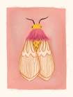 Boho Moth Art Print