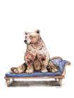 Chaise Lounge Bear Art Print