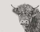 Highland Art Print
