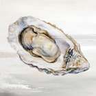 Lonely Oyster I Art Print