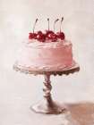 Cherry Delight Art Print