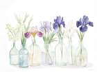 Wild Iris Garden Art Print