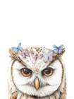 Owl and Butterfly Wings Art Print
