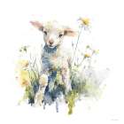 Little Lamb Art Print