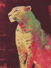 Prowlers Path Art Print