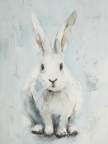 The Velvet Ears Art Print