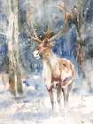 The Winter Wanderer Art Print