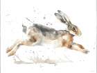 Spring Jumper Art Print