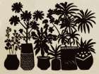 Potted Shadows II Art Print