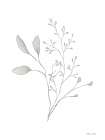 Simple Leaves 3 Art Print