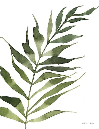 Fern 2 Art Print by Susan Ball