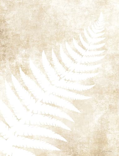 Fern Frond 1 Art Print