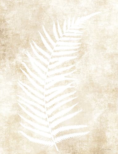 Fern Frond 2 Art Print