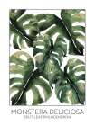Split Leaf Philodendron Art Print