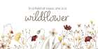 She is a Wildflower Art Print